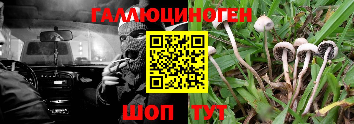 Псилоцибиновые грибы MAGIC MUSHROOMS  Вход с VPN  Ульяновск 